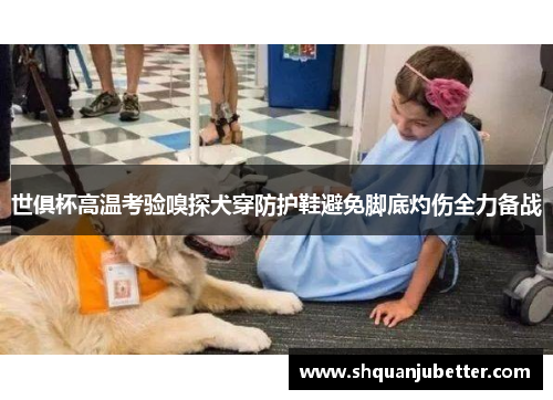 世俱杯高温考验嗅探犬穿防护鞋避免脚底灼伤全力备战